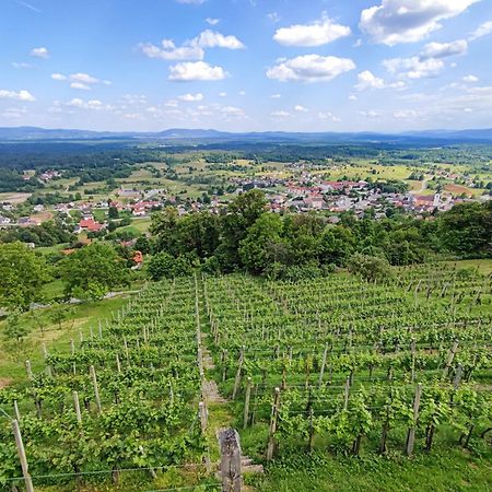Zidanica-Vineyard Cottage Jakse セミチ エクステリア 写真