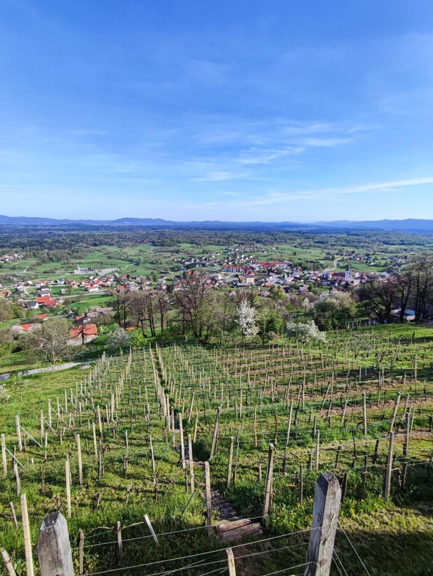 Zidanica-Vineyard Cottage Jakse セミチ エクステリア 写真
