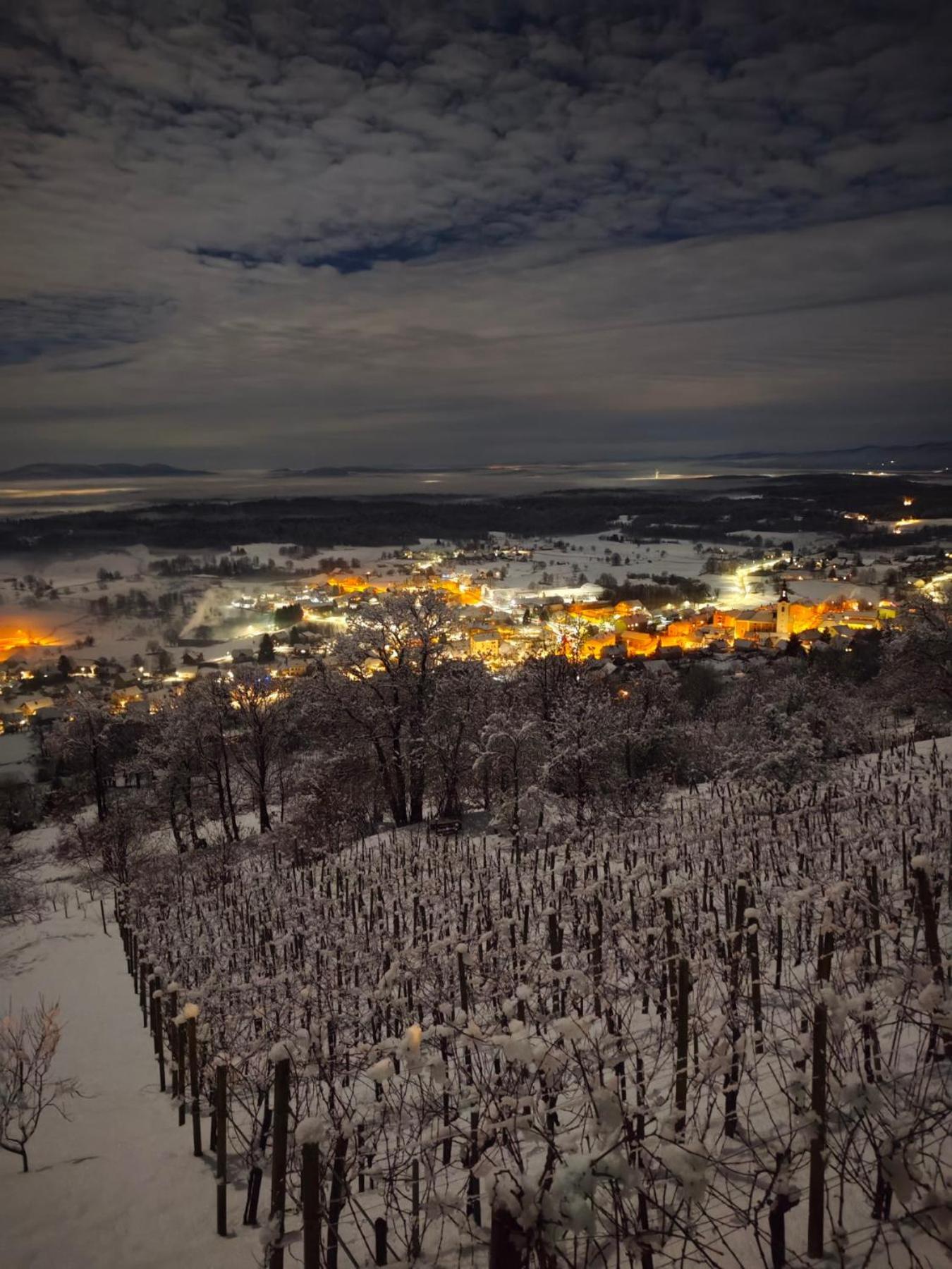 Zidanica-Vineyard Cottage Jakse セミチ 部屋 写真
