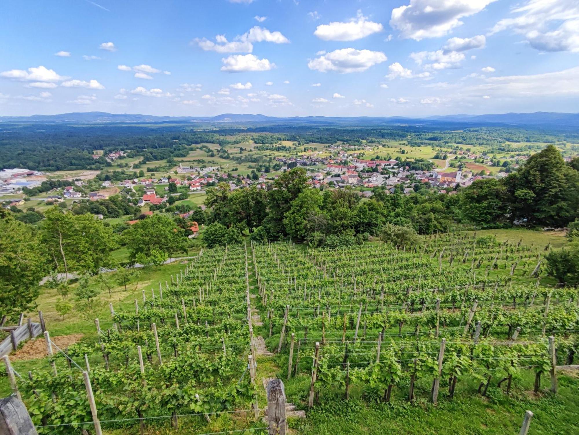Zidanica-Vineyard Cottage Jakse セミチ エクステリア 写真